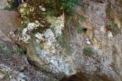 Pádis-Galbena-szurdok-vizkitores