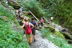 Padis-Galbena-szurdok-lancos-patakmeder-kezdete