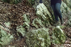 Padis-Galbena-szurdok-lancos-ut