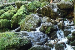 Padis-Galbena-szurdok-patak