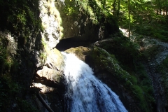 Padis-Galbena-szurdok-vizeses2