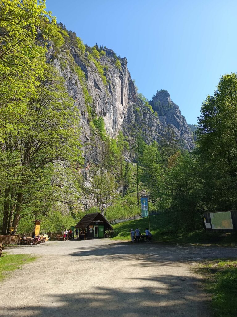 IMG 20250502 103750