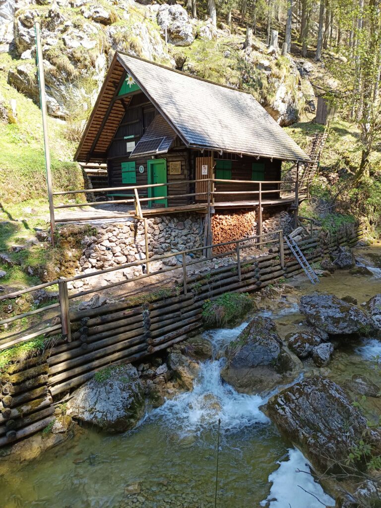 IMG 20250502 115812