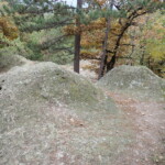 2498726870