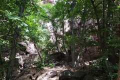 IMG_20210802_123133