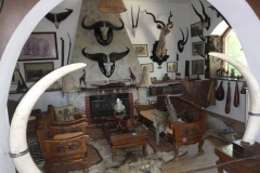 Festetics-allatpark-muzeum2