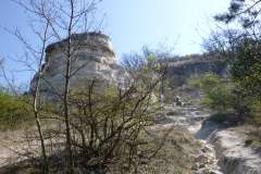 P1000459