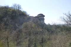 P1000478