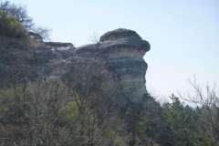 P1000479