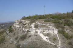P1000501