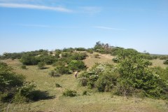 IMG_20200425_160501