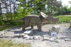 Rezi-dinopark-orrszarvu