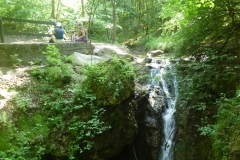 Rozsika-forras-vizeses