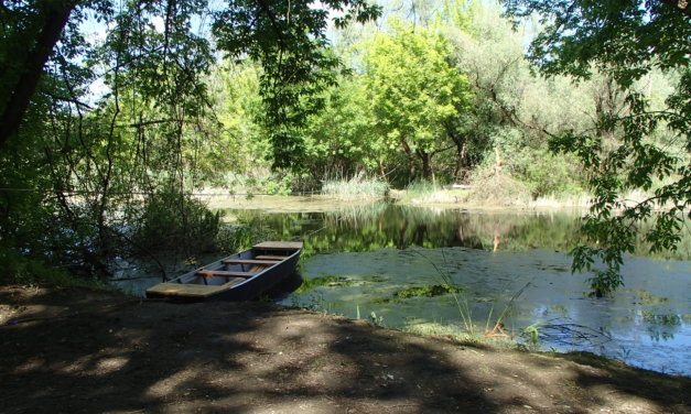 Tisza tó- Pákász tanösvény- avagy a lápok rejteke