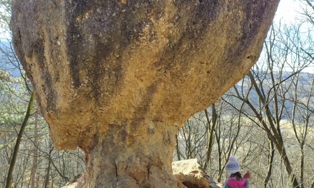 A Piliscsabai Gombaszikla és Ördögoltár szikla