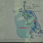 1641649330