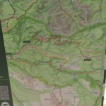2818982878
